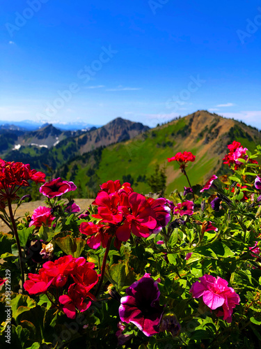 Crystal Mountain Summit in Washington state
