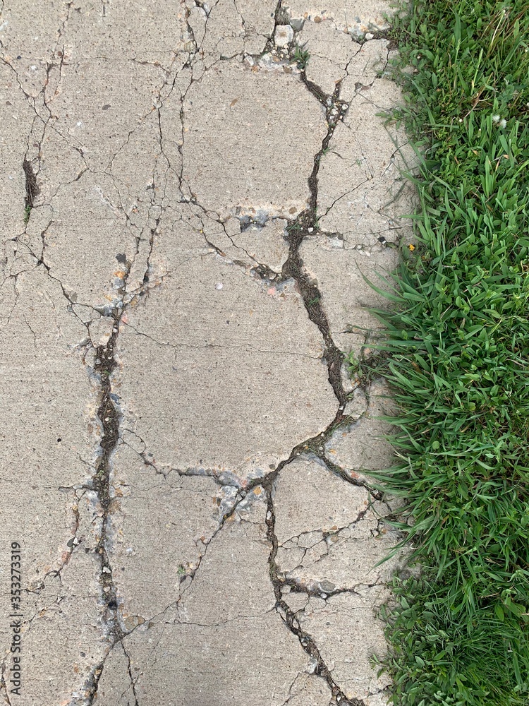 Fototapeta premium Sidewalk with lots of cracks with grass