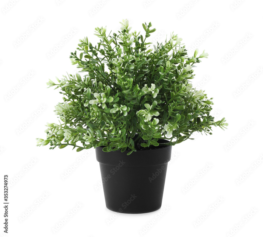 Beautiful artificial plant in flower pot isolated on white Beautiful artificial plant in flower pot isolated on white