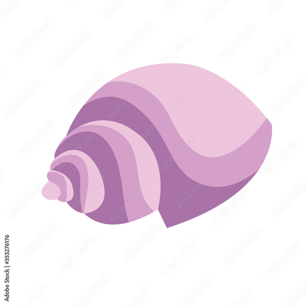 Isolated colored sea shell Isolated colored sea shell
