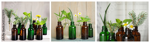 Collage of different photos with essential oils and plants. Banner design