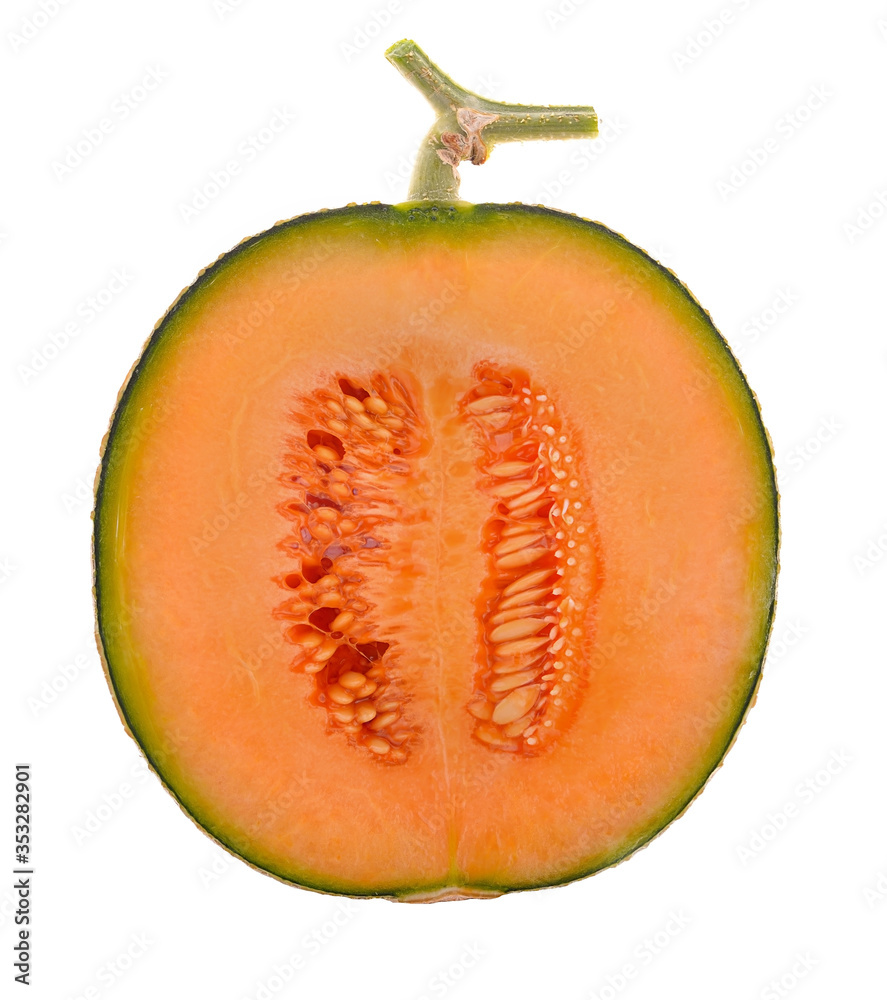 cantaloupe melon on white background cantaloupe melon on white background
