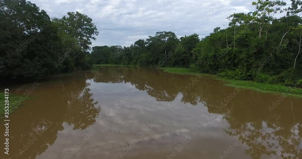 Large and Beautiful Amazon Rainforest River Surrounded by Pristine Luxuriant Green Jungle Large and Beautiful Amazon Rainforest River Surrounded by Pristine Luxuriant Green Jungle