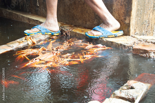 Man with Blue and Yellow Flip Flop Sandals Walking over Boiling Water Filled with Leaves in Paper Factory in Bhutan photo