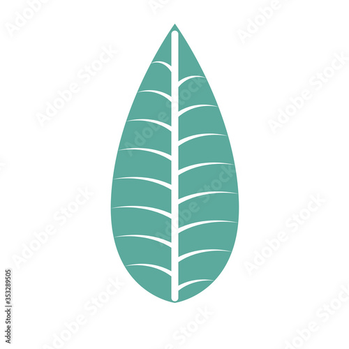 ecology nature leaf foliage icon