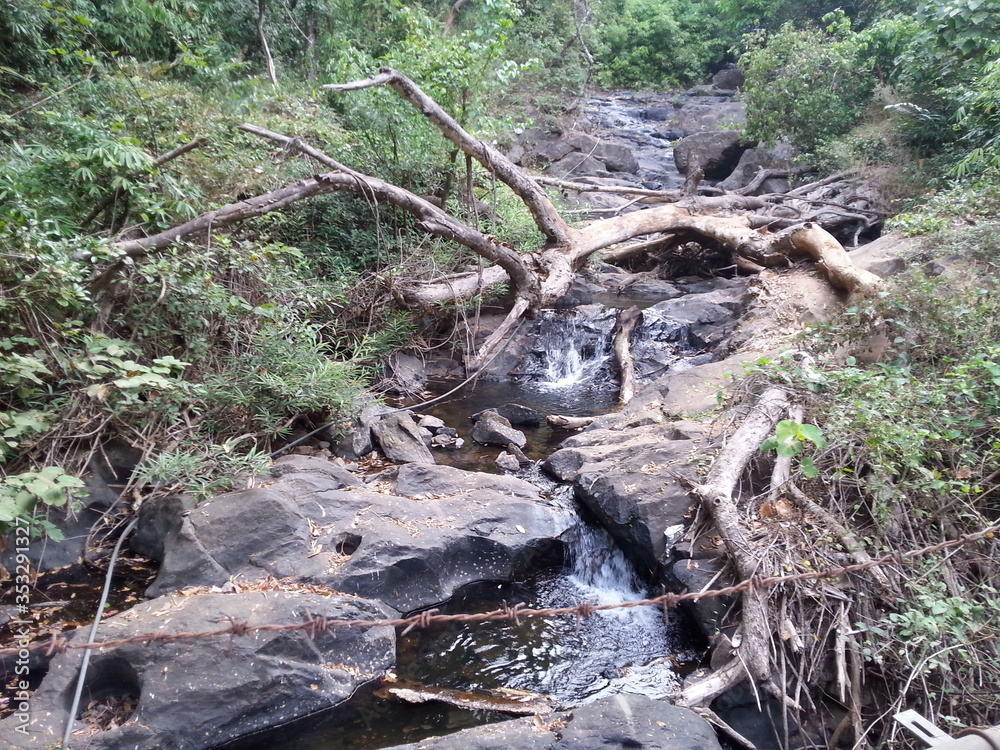 Small water fall in a forest. Small water fall in a forest.