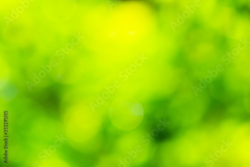 Bokeh from natural light is green with beautiful colors.