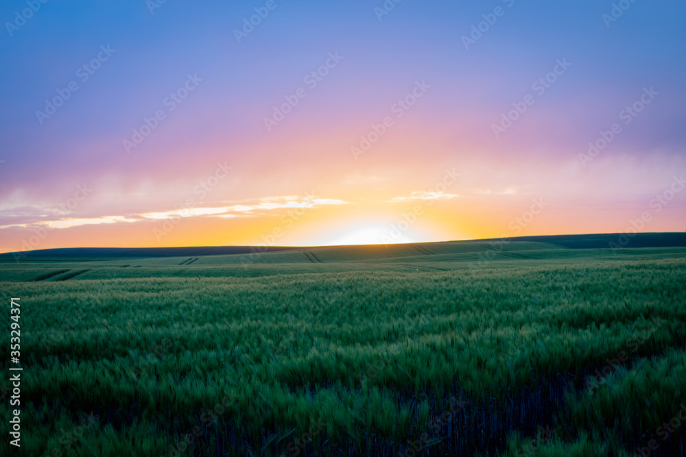 above  cornfield the sun sets with a purple sky