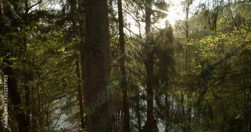 Walking in dense forest during sunset, Warmia and Masuria, Poland. photo