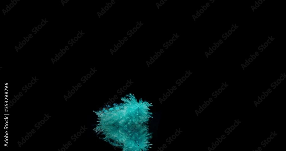 falling blue feather drifting slowly onto a reflective surface. falling blue feather drifting slowly onto a reflective surface.
