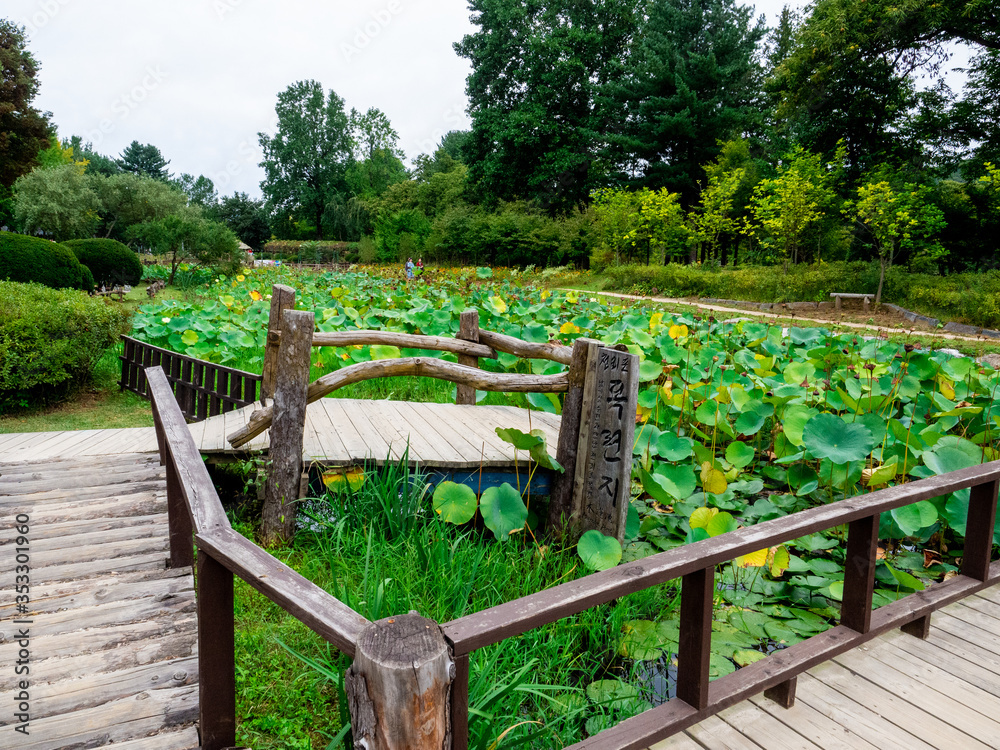 Obraz premium Nami Island, South Korea - Sep 20, 2019.