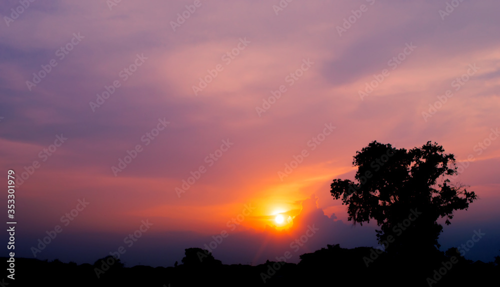 silhouette tree on twicelight sunset background