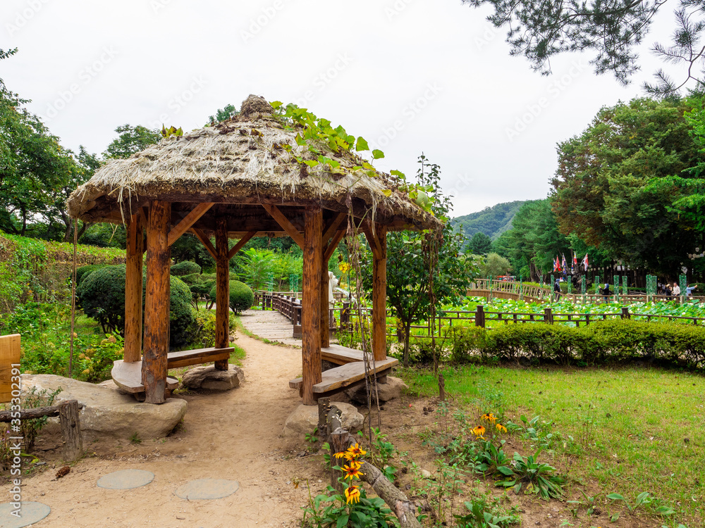 Nami Island, South Korea - Sep 20, 2019. walking in Namiseom Island. Nami Island, South Korea - Sep 20, 2019. walking in Namiseom Island.