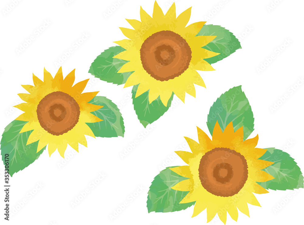 ひまわりの花3輪のベクターイラスト
