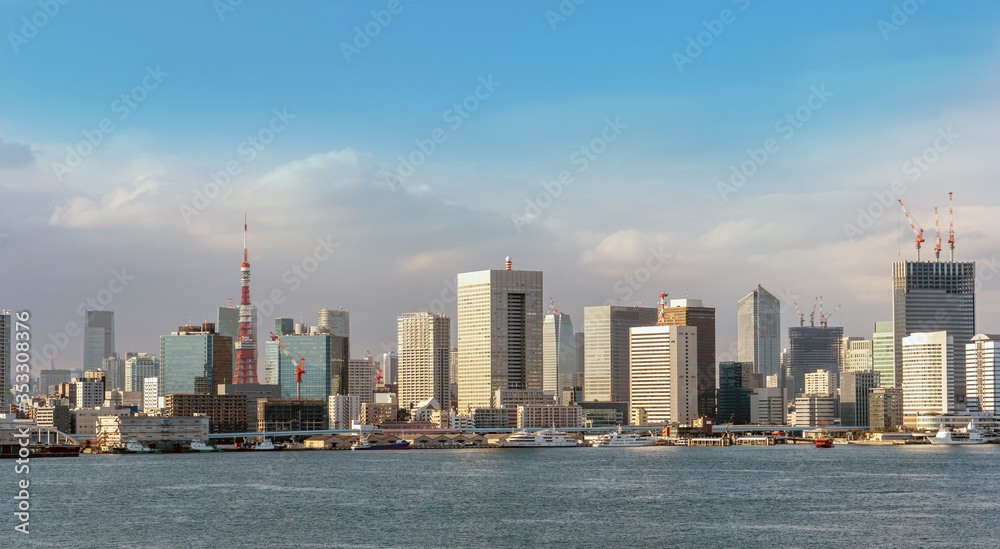 Aerial view of Tokyo skylines with Rainbow bridge and tokyo tower from Odaiba in tokyo, Japan