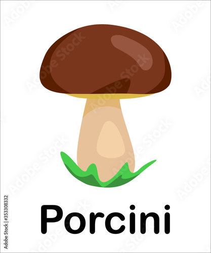 Brown color. porcini. picture for study with children. Preschool education illustration in cartoon style.