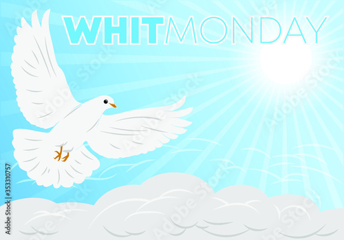 Whit monday vector illustration background image. Flying bird on bright sky and sunburst.  photo