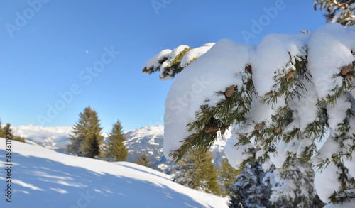 close on snow covered a branch of fir in front of snowcapped mountain under b...