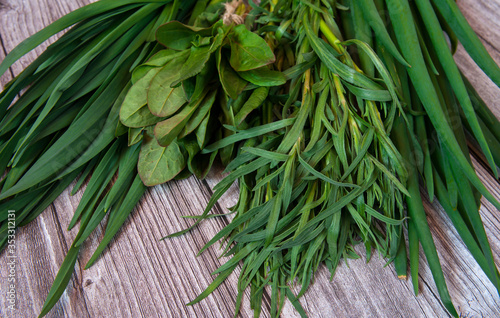 Fresh spicy kitchen greens in bunches close-up. Salad ingredients: green onion and garlic feathers, sorrel and tarragon on a wooden background. Selective focus.