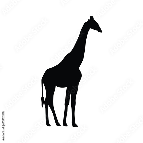 Giraffe icon. Giraffa camelopardalis is even-toed ungulate mammal isolated on white background.