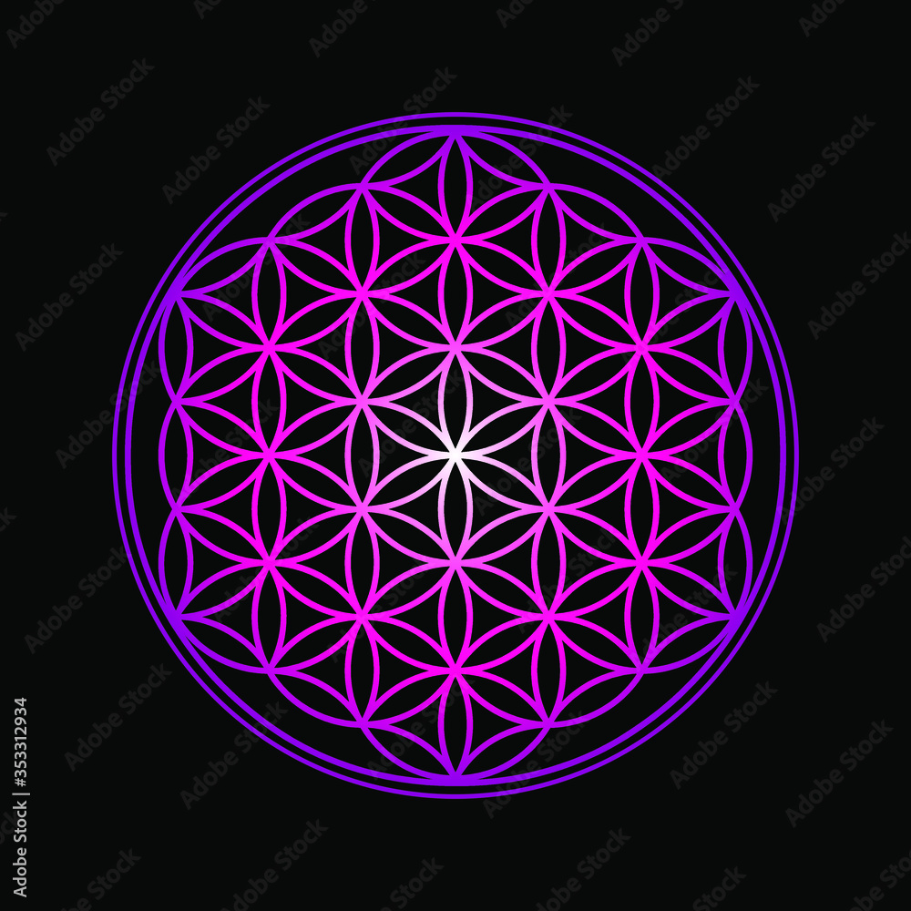 Flower of Life design image, vector illustration. Sacred geometry, symbol healing and balance. Flower of Life design image, vector illustration. Sacred geometry, symbol healing and balance.