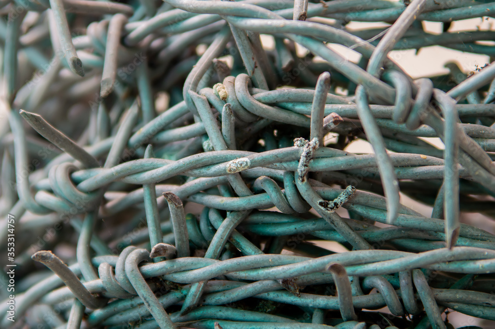 close up roll of barbed wire close up roll of barbed wire