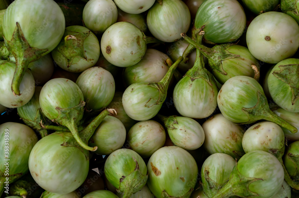 top view many eggplant group in thai market top view many eggplant group in thai market