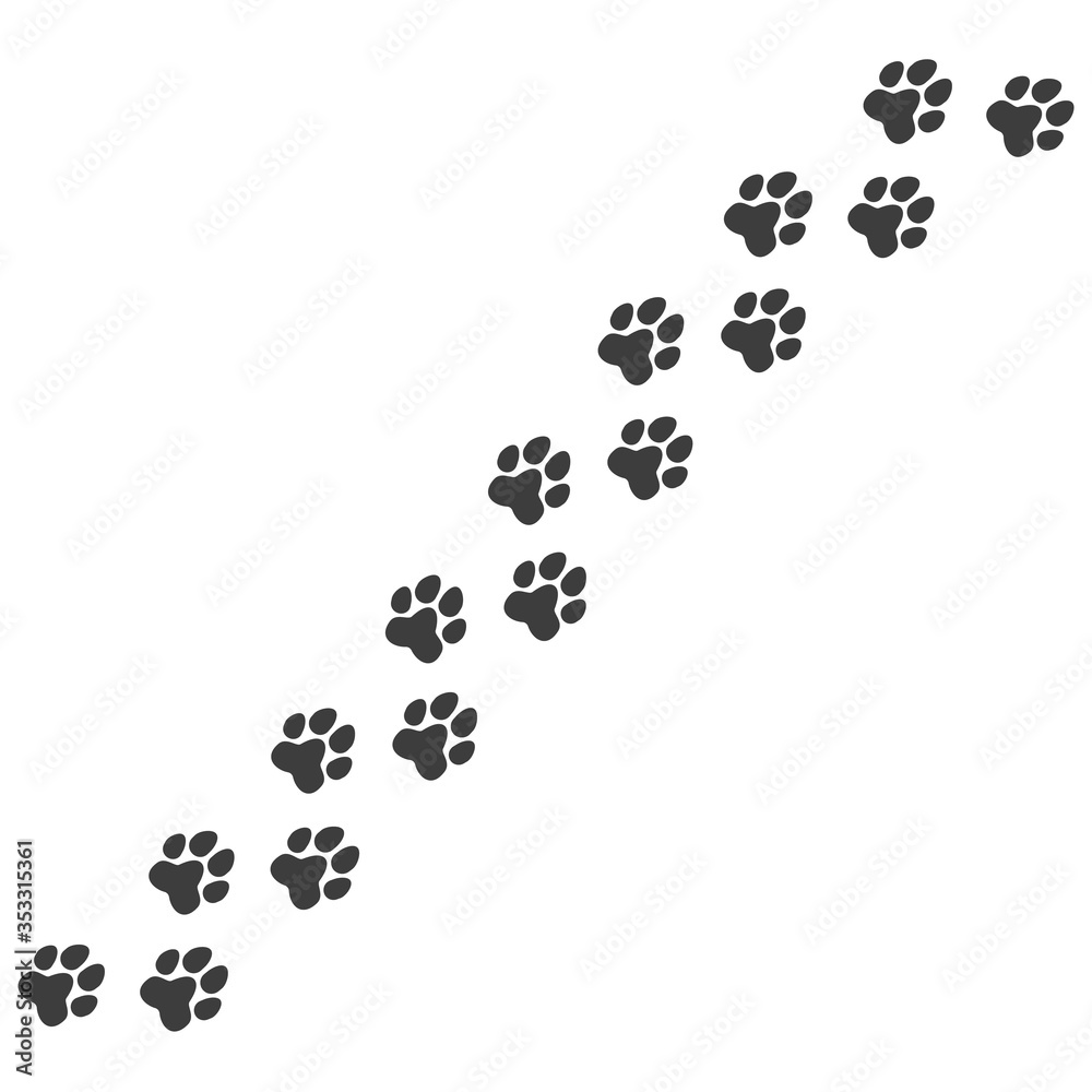 Cat or dog paw. Pet foot trail print Cat or dog paw. Pet foot trail print