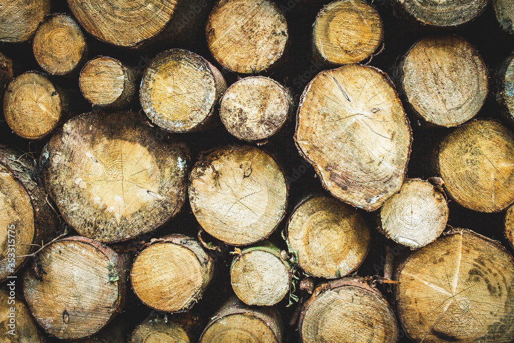 Wood