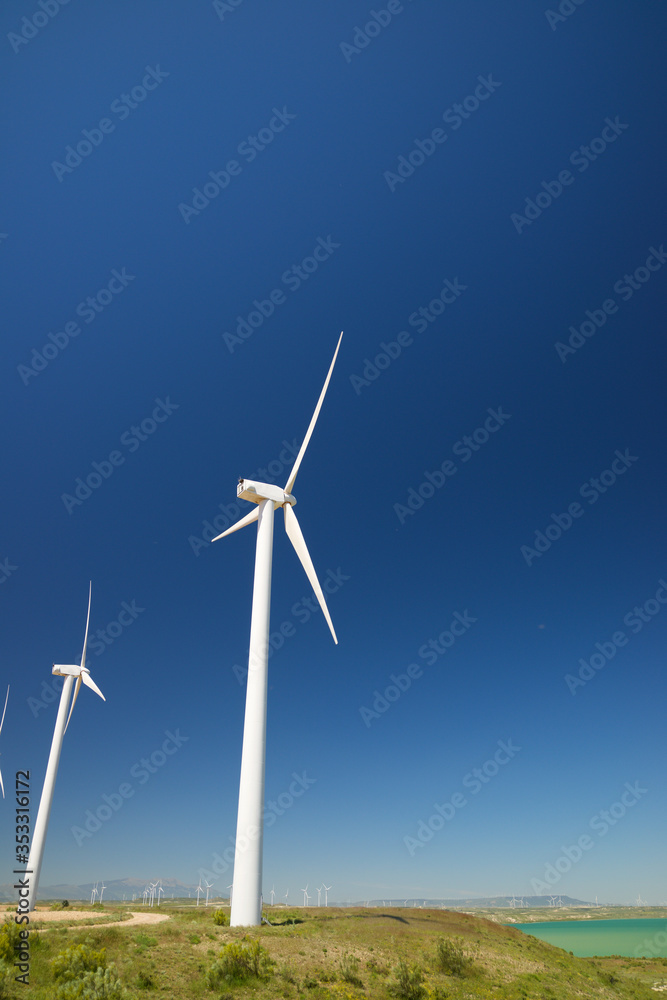 Fototapeta premium Renewable energy concept