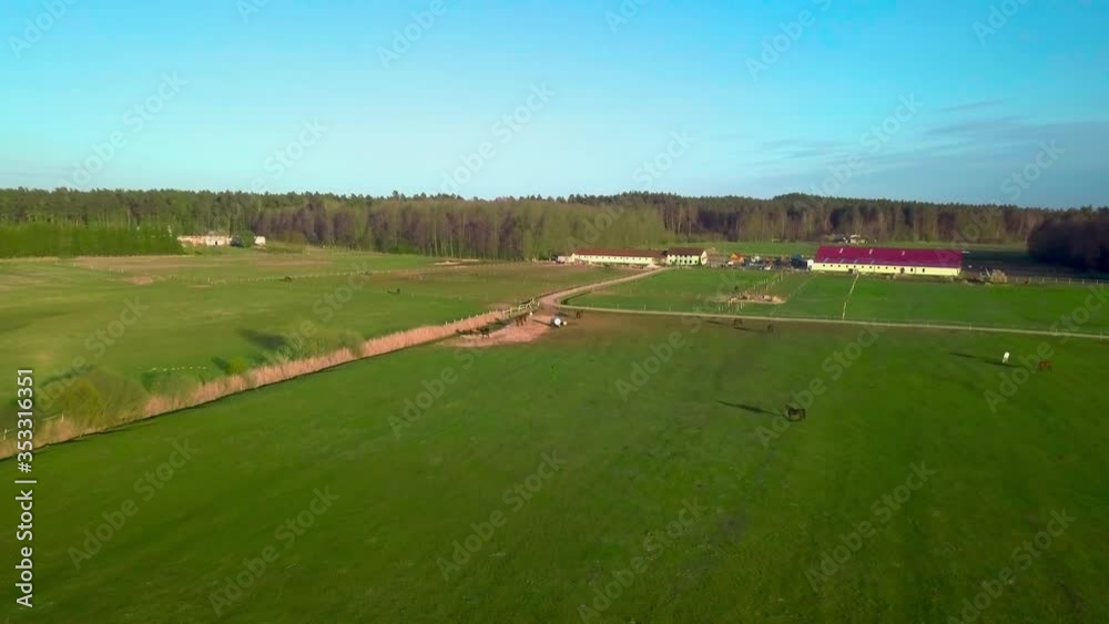 Aerial View Green Fields Of Horse Farm. Follow Shot Aerial View Green Fields Of Horse Farm. Follow Shot