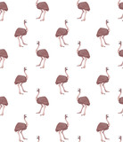 Cute seamless vector pattern with australian ostrich. Brown bird, for printing on t-shirts, packaging, wallpapers, paper, posters. Funny character in a flat style. Isolated white