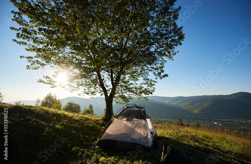 Summer camping in the mountains. Tourist white tent at campsite near big tree at sunrise in the morning. Tourism outdoor active lifestyle concept