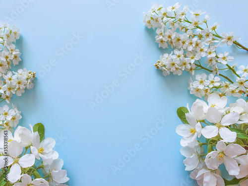 Floral frame of small white flowers on a blue background. White flowering branches of cherry, apple, pear and bird cherry. Place for text and your beauty product. The basis for the card. Flat lay © Анастасия Бурлакова