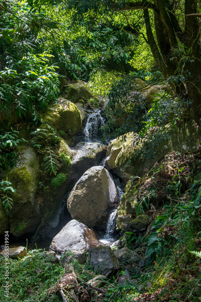walk and discover the prego salto waterfall on the island of sao miguel, azores walk and discover the prego salto waterfall on the island of sao miguel, azores
