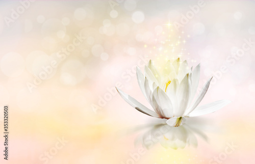 Lotus floating on water with worm glitter sparkle light and soft blur bokeh reflection on pastel dream color background, White lily water flower on water.