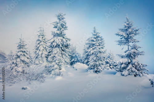 Misty morning view of mountain forest. Fabulous outdoor scene with fir trees covered of fresh snow. Beautiful winter landscape. Happy New Year celebration concept.