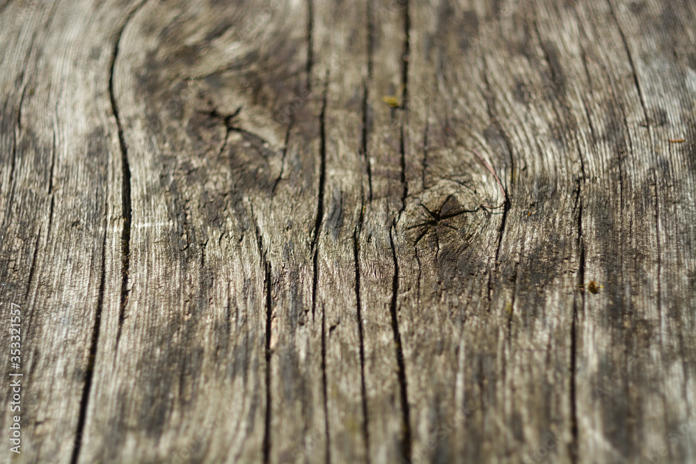 Pine wood texture. Selective focus. Pine wood texture. Selective focus.