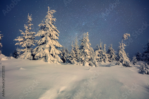 Splendid night view of mountain forest. Magnificent outdoor scene with fir trees covered of fresh snow. Beautiful winter landscape. Happy New Year celebration concept.