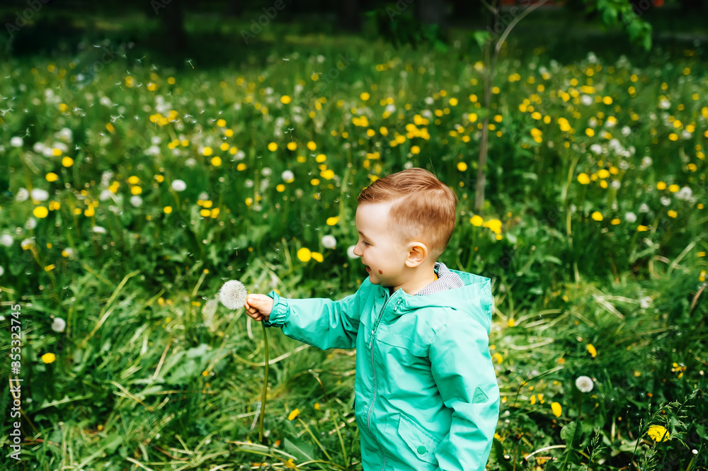 Little boy keep white dandelion in hands in city park Little boy keep white dandelion in hands in city park