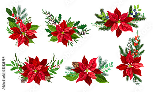 Poinsettia Flower with Fir Tree Branches and Berry Twigs Composition Vector Set