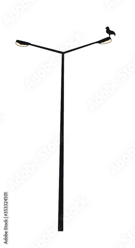 Seagull on a lamp post