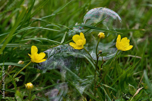  fantasy on the theme of soap bubbles and beautiful flowers close-up on a green lawn