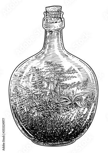 air, arrangement, bottle, big, huge, container, decorate, decoration, ecosystem, flora, florarium, garden, glass, green, grow, growth, houseplant, jar, micro, climate, mini, moss, fern, natural, natur