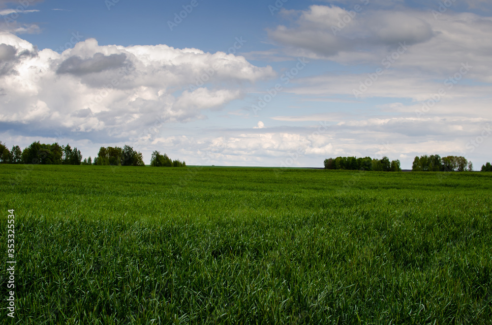 Clouds over the fields. Green grass field and grey blue sky Clouds over the fields. Green grass field and grey blue sky