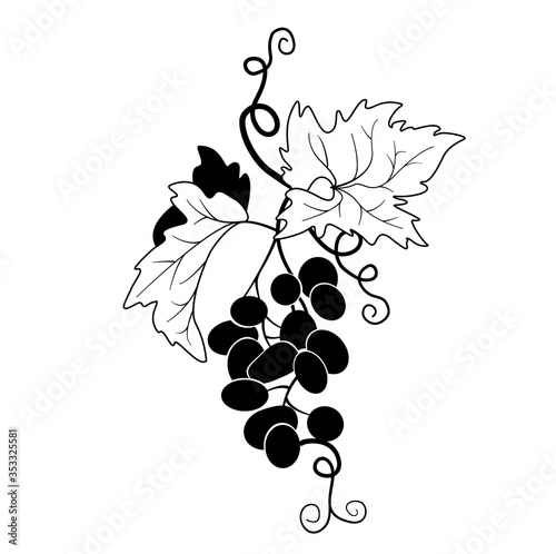 Grape cluster silhouette for wine companies logo. Black-white berries with leaves and curly mustache in vector on a white background.