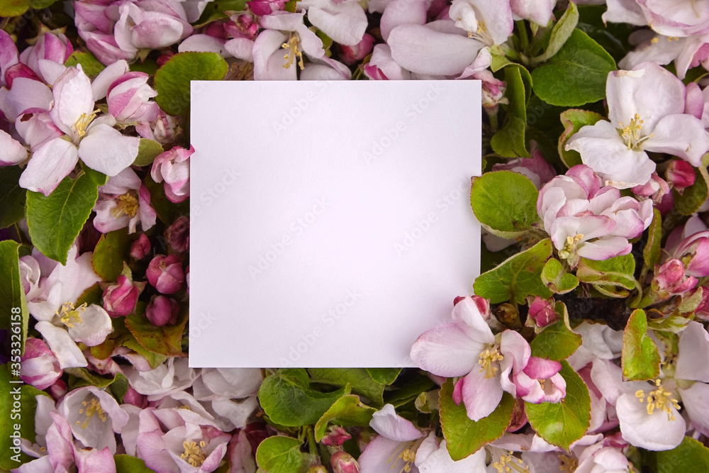 Spring flower border, blank paper card, pink and white apple tree flowers and green leaves frame. Floral background, top view Spring flower border, blank paper card, pink and white apple tree flowers and green leaves frame. Floral background, top view