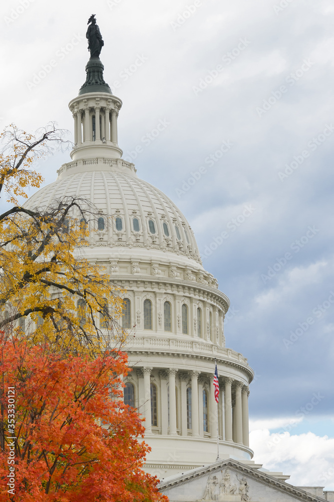 Obraz premium U.S. Capitol Dome and autumn foliage in a cloudy day - Washington D.C. United States of America