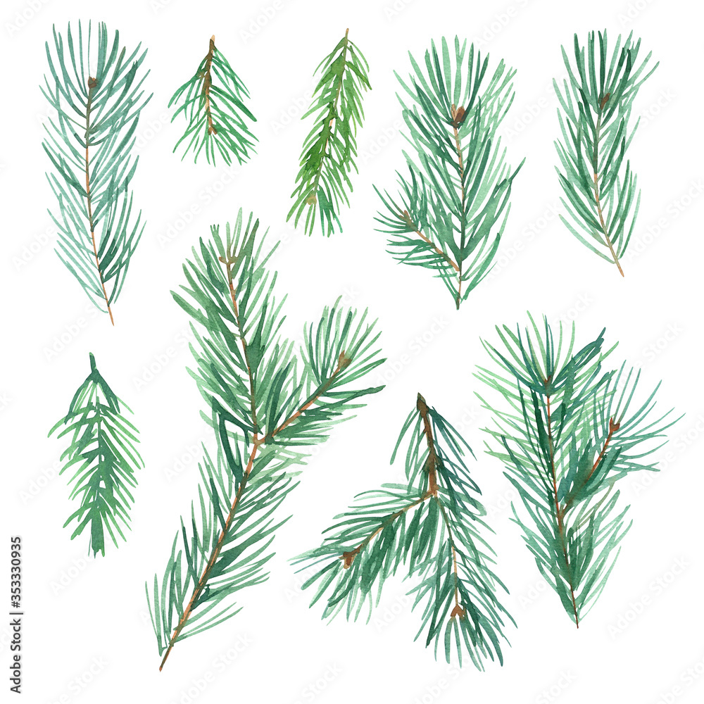 Pine branches watercolor winter decor. Christmas tree. Forest Plant Sketch