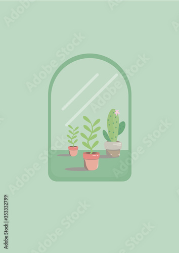 your plants from behind the window in the afternoon